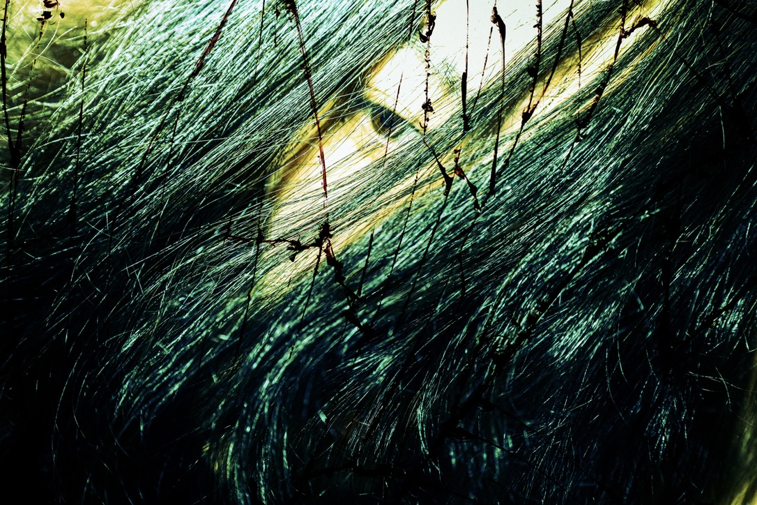 vvekapipo artist photograph 17