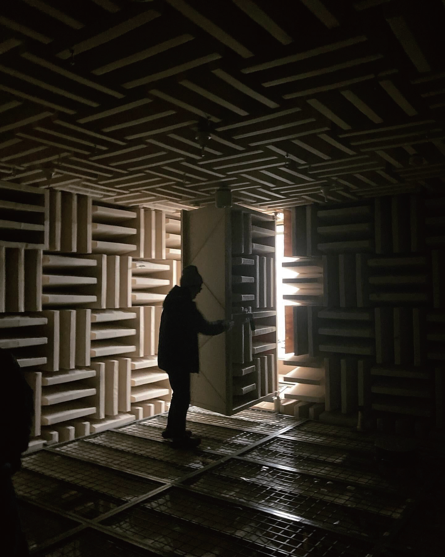 L’Intuition de l’instant installation in an anechoic chamber